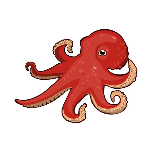 Red vector cartoon octopus — Stock Vector