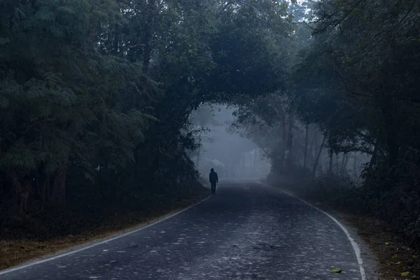 Man walking on road, scary dark night in forest