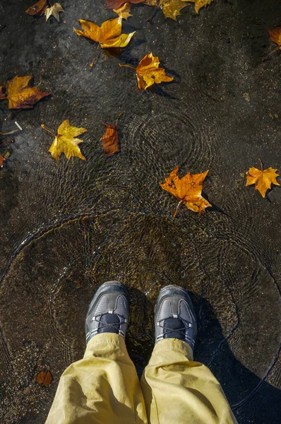 Man Walking Street Rain Walking Puddles — Foto Stock