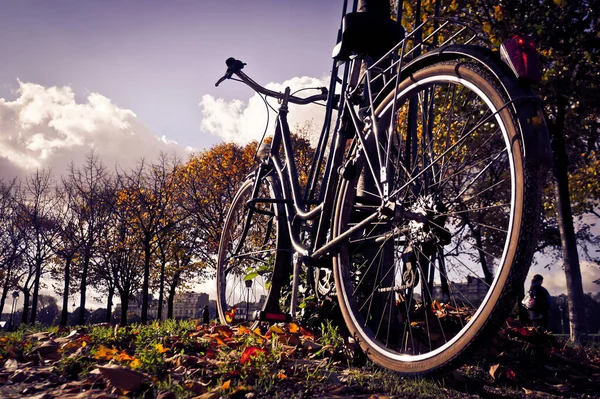 Altmodisches Fahrrad Einem Lokalen Park — Stockfoto