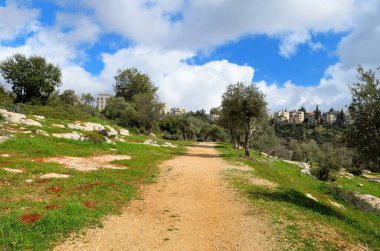 SacherPark, Kudüs 'ün merkezindeki en büyük halk parkı.