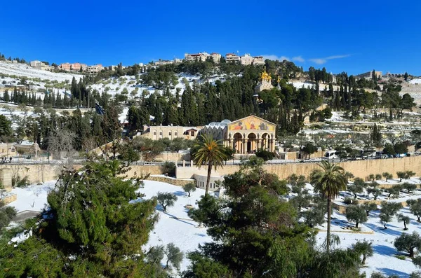 View Snow Covered Mount Elives Gethsemane Garden Old City Jerusalem — стоковое фото