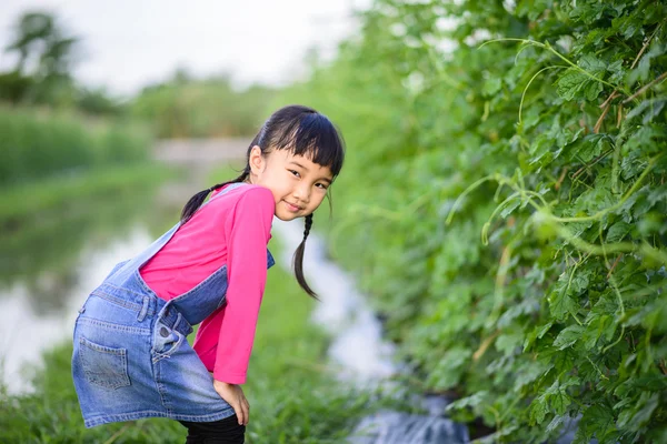 Niña Jardinero Sonrisa Mientras Comprobar Producto Granja — Foto de Stock