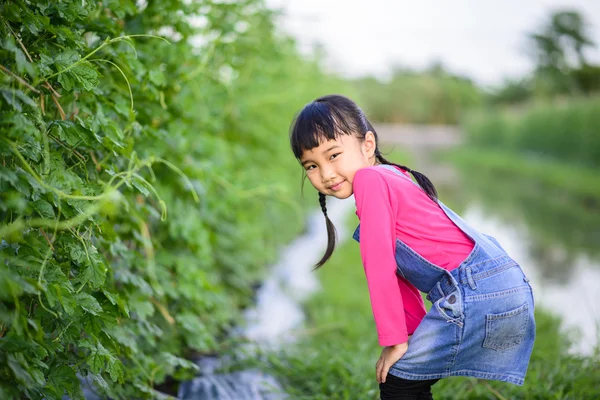 Kid Gardener Smile While Check Product Her Farm — Stock Photo, Image