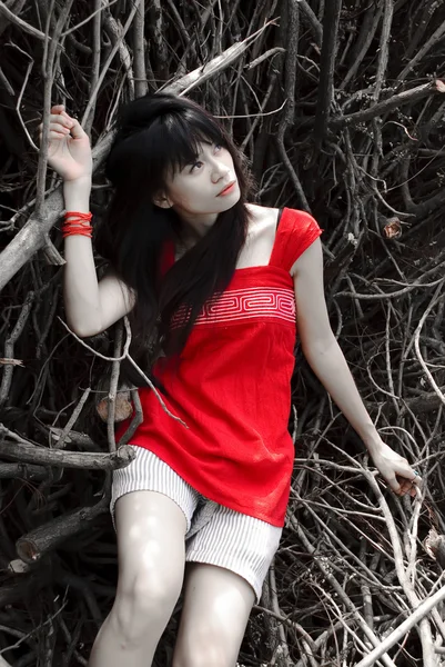 Kırmızı Elbisenin Üzerinde Kuru Bir Konsept Olan Asyalı Kadın Portresi — Stok fotoğraf