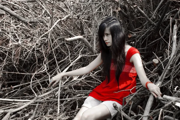亚洲女人像 红色连衣裙上有干概念 — 图库照片