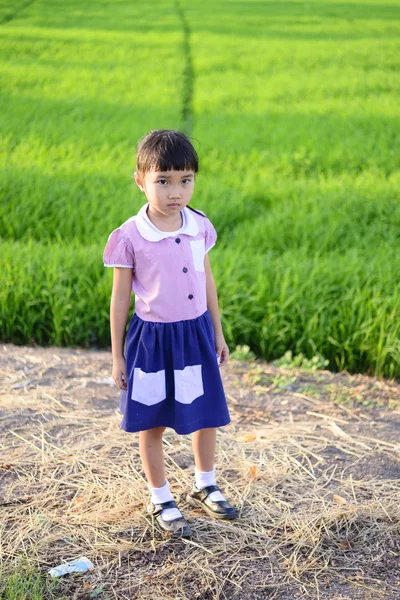 Little School Uniform Green Rice Field Background — Stock Photo, Image