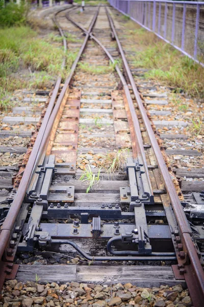 Контроль Железнодорожного Узла Травой — стоковое фото