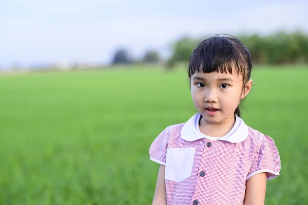 Klein Meisje Met School Uniform Groene Rijst Veld Achtergrond — Stockfoto