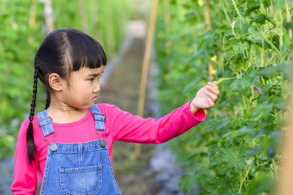 Niña Comprobar Producto Jardín Verde Después Plantación — Foto de Stock