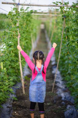 Çocuk bahçıvan çiftliğinde çalışmaya hazır.