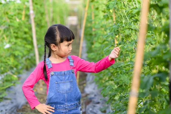 Niña Jardinero Pose Seria Mientras Comprueba Producto Granja — Foto de Stock