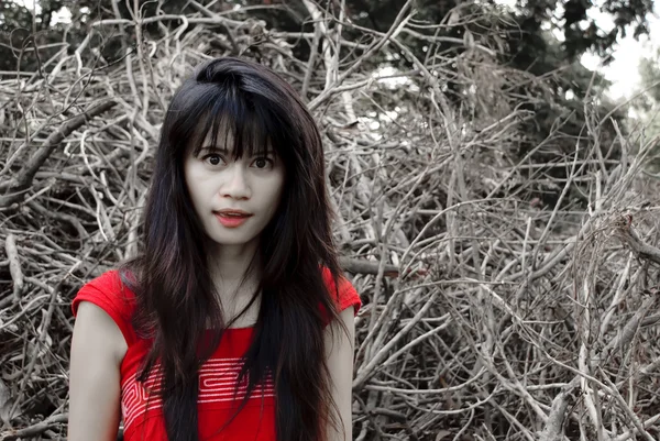 Retrato Mujer Asiática Con Concepto Seco Vestido Rojo —  Fotos de Stock
