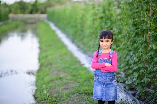 Κοριτσάκι Δουλειά Κηπουρού Χαμογελάει Στη Σειρά Φυτειών — Φωτογραφία Αρχείου