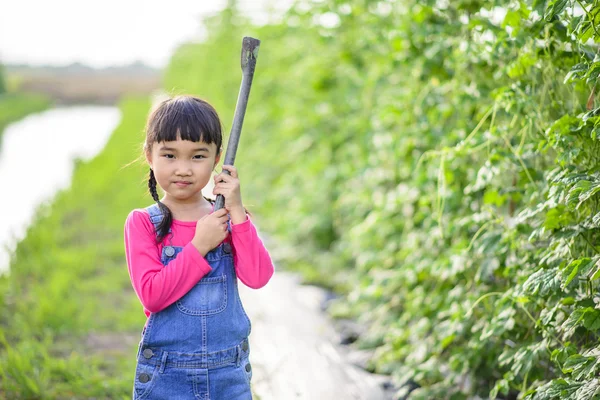 Pequeña Niña Taller Jardinería Herramienta Plantación Fila Plantación — Foto de Stock