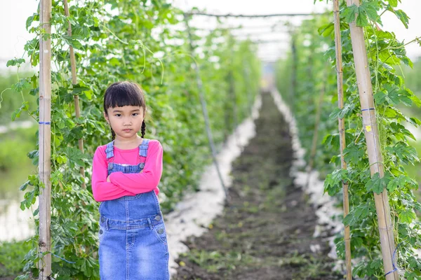 Pequeño Jardinero Niña Retrato Tras Planta — Foto de Stock