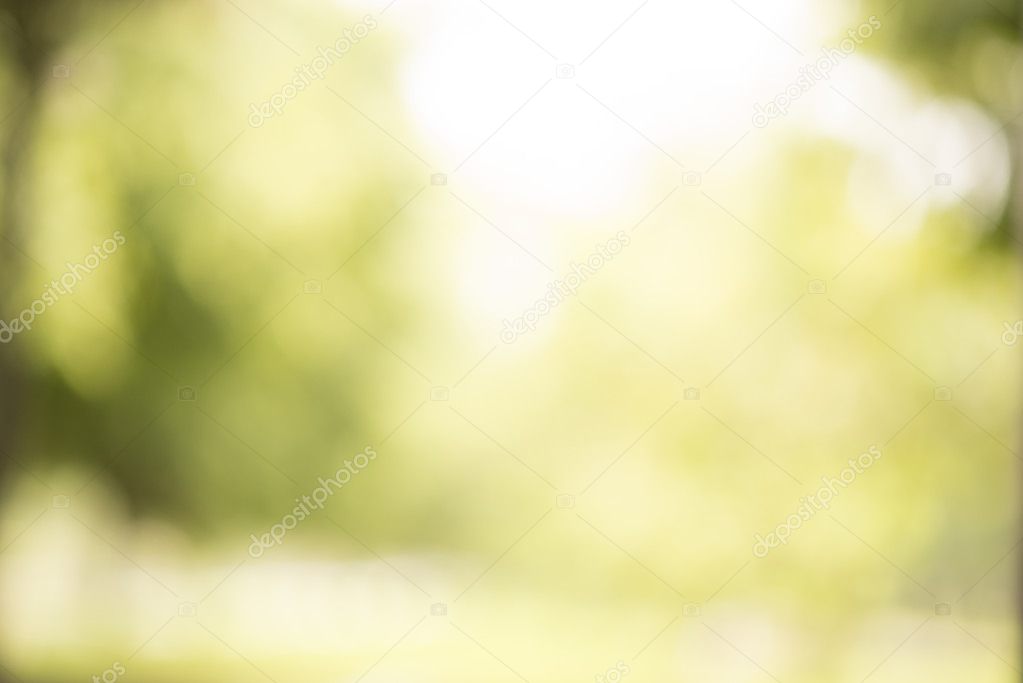 Green bokeh; Abstract background for graphic designer