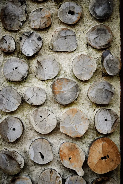 Hout in betonnen wand — Stockfoto