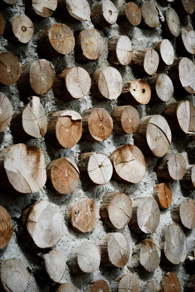 Bois dans le mur de béton — Photo