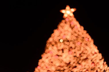 X'mas ağaç bokeh