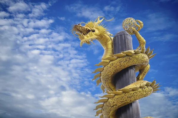 Dragon auriu — Fotografie, imagine de stoc