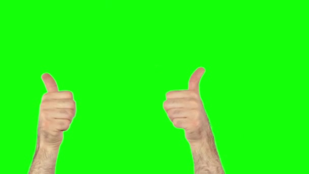 Tummen upp på grön skärm 4k — Stockvideo