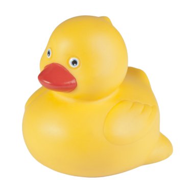 izole beyaz zemin üzerine sarı ördek