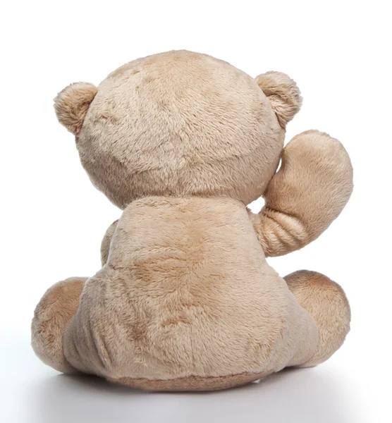 Toy teddy — Stock Photo, Image