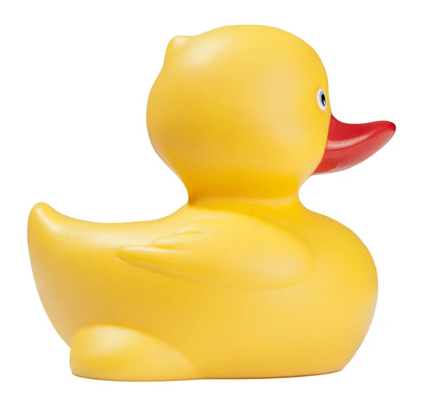 Yellow duck on isolated white background — Stock Photo, Image