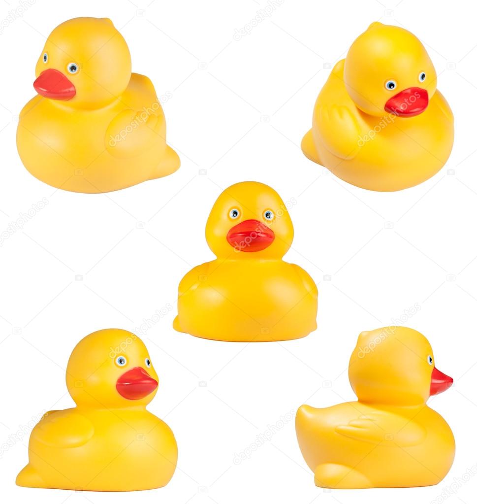 yellow duck set on isolated white background