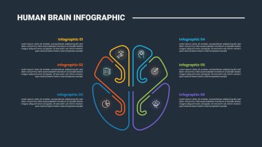 İnsan Beyni anatomisi bilgi işlem diyagramı. Basit yuvarlak çizgi ayırıcısı. Yığılmış liste bilgisi ve koyu arkaplan parlak ana hat biçimi 6 nokta vektörü var.