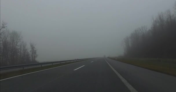 Guidare Autostrada Con Alberi Intorno Nella Nebbia Scarsa Visibilità Sulla — Video Stock