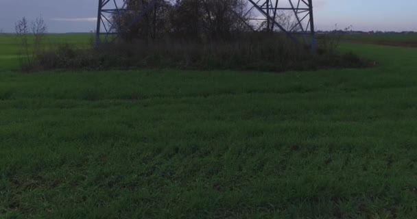 Grande Tour Électrique Dans Champ Vert Avec Vue Sur Champ — Video