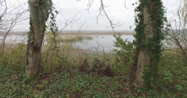 Sonbaharda nehir bataklığının yanında arka planda çimenler ve yapraklar var..