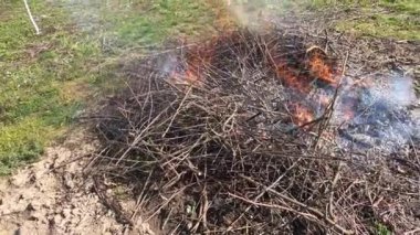 Meyve ağaçlarını budadıktan sonra bahçede yapraklar ve dallar yakıyor.