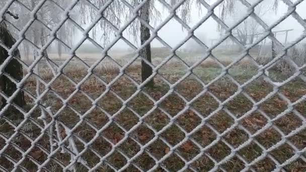 Tenir Fil Barbelé Recouvert Gel Hivernal Main Lâcher Prise — Video