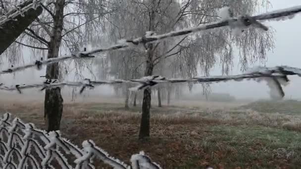 白い冬の霜で覆われたワイヤーフェンスと鉄条網の映像は 自由難民や国境地帯のオブジェクトの剥奪をフェンス — ストック動画