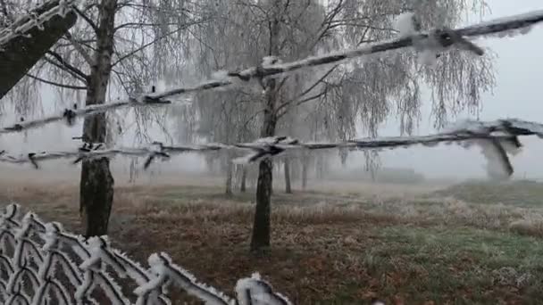 Fotografier Ett Stängsel Och Taggtråd Täckt Med Vit Vinterfrost Inhägnat — Stockvideo