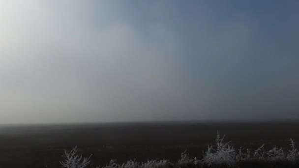 Guidare Autostrada Nella Nebbia Con Sole Gelo Sulle Piante Sugli — Video Stock