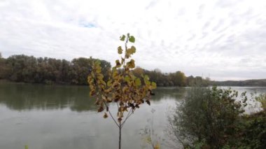 Drava Nehri 'nin arka planda, Avrupa' da sonbaharda bol miktarda bulunan doğayla tam uzunlukta bir çekimi. 