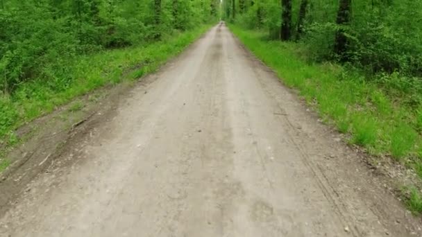 Paseo Por Camino Tierra Grava Que Corre Través Bosque Primavera — Vídeos de Stock