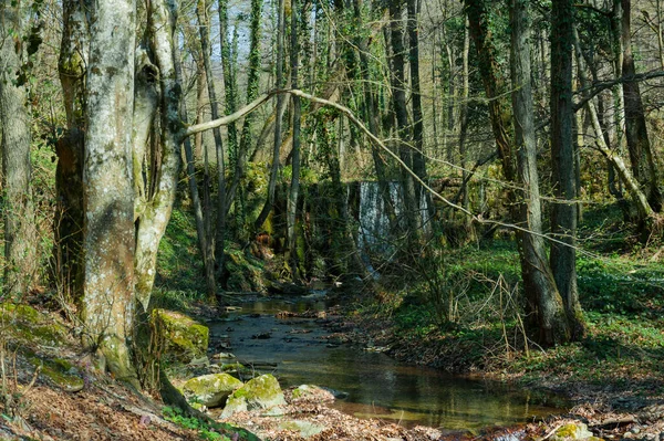 Waterfall Nature Park Photographed Early Spring Clear Water Greenery — Stock Photo, Image