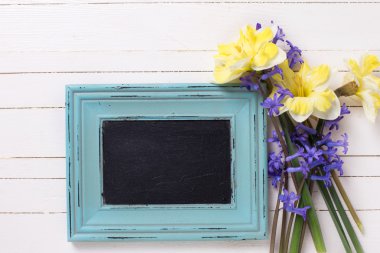 Parlak sarı ve mavi bahar çiçekleri