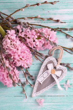 Pembe sümbül çiçek