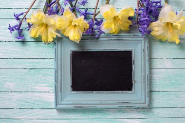 Parlak sarı ve mavi bahar çiçekleri