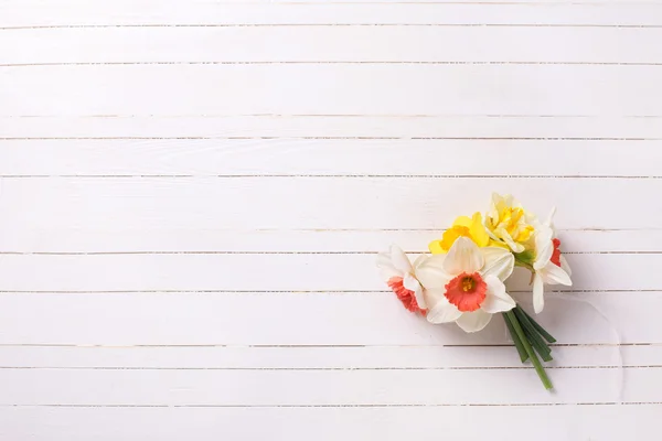 Printemps jaune fleurs Narcisse — Photo