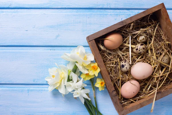 Velikonoční vejce v poli — Stock fotografie
