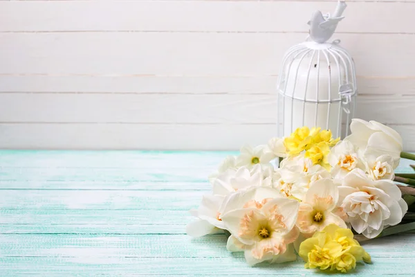 Fondo con flores narcisas brillantes — Foto de Stock