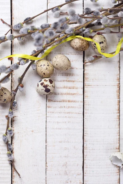 Easter eggs and willow branches — Stock Photo, Image