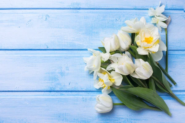 Narcis a tulipánů květiny — Stock fotografie